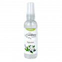 Parfum pour chien et chiot | CANILUXE Signature | Senteur musc : Contenance :100 ml