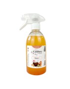 Parfum pour chien et chiot | Caniluxe Talc | Senteur délicate | 100 ml