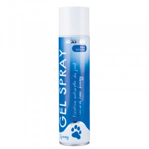 DIAMEX | Gel spray Fixation