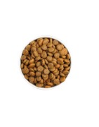Ownat | Chien | Croquettes CLASSIC MONOPROTEIC SALMON