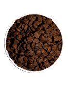 Ownat | Chien | Croquettes ULTRA MEDIUM LAMB