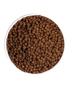 Ownat | Chien | Croquettes ULTRA MINI JUNIOR