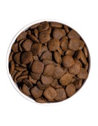Ownat | Chien | Croquettes ULTRA MAXI JUNIOR