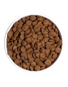 Ownat | Chien | Croquettes ULTRA MEDIUM STERILIZED