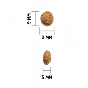 Ownat | Chien | Croquettes AUTHOR FRESH LAMB & PORK
