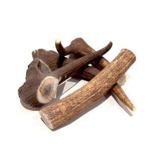 Bois de cerf entier | Friandise 100% naturelle pour chien et chiot