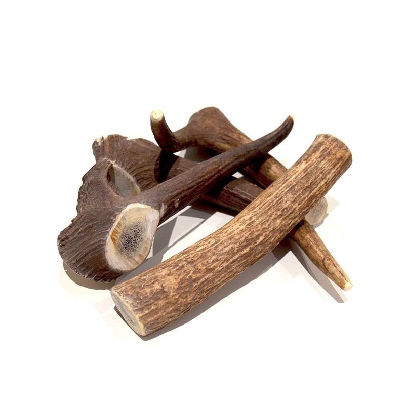 Bois de cerf entier | Friandise 100% naturelle pour chien et chiot