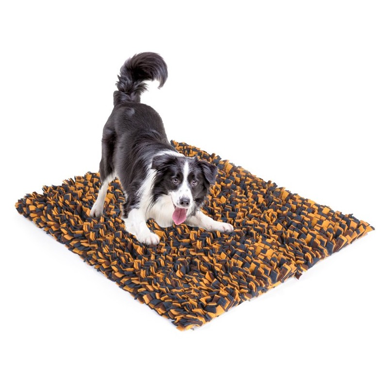 Grand tapis de fouille à renifler GENIUS | Jouet de réflexion chien et chat