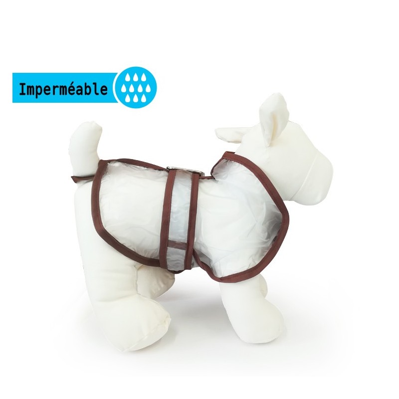 Imperméable pour chien transparent
