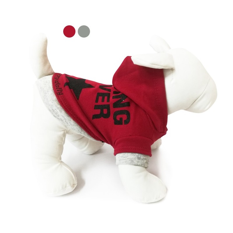 Sweat à capuche Racing Fever gris ou rouge pour petit chien