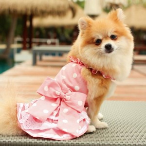 Robe rose poudré avec pois blanc | Petit chienne