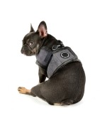 Harnais veste PUPPIA en suédine gris avec fourrure TERRY