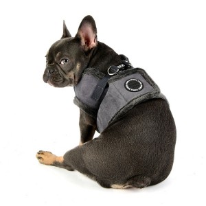 Harnais veste PUPPIA en suédine gris avec fourrure TERRY