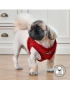 Harnais veste PUPPIA en suédine rouge avec fourrure TERRY