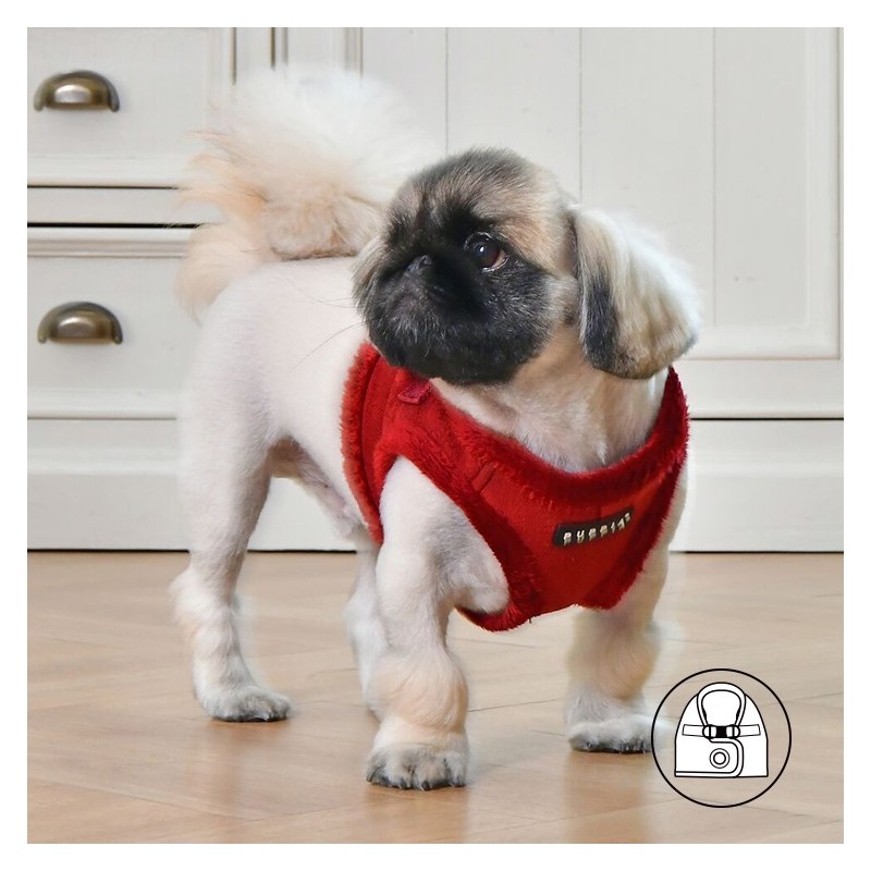Harnais veste PUPPIA en suédine rouge avec fourrure TERRY
