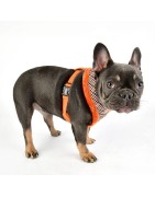Harnais PUPPIA AUDEN motif pied de poule avec fourrure orange