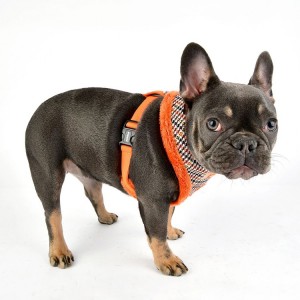 Harnais PUPPIA AUDEN motif pied de poule avec fourrure orange