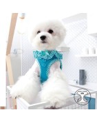 Harnais PUPPIA VIVIEN bleu avec volant vichy vintage et coloré