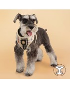 Harnais PUPPIA JUNIOR à carreaux beige style anglais