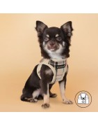 Harnais veste PUPPIA JUNIOR à carreaux beige style anglais