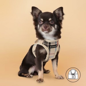 Harnais veste PUPPIA JUNIOR à carreaux beige style anglais