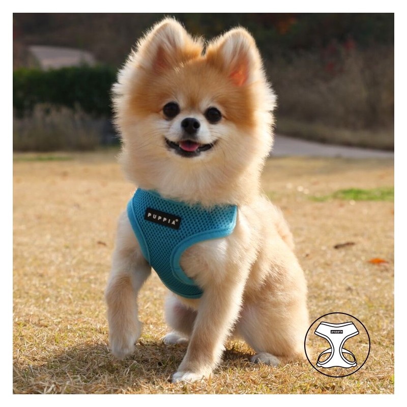 Harnais PUPPIA SOFT bleu ciel ultra confortable pour chien