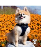 Harnais PUPPIA SOFT bleu marine ultra confortable pour chien