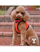 Harnais PUPPIA SOFT orange ultra confortable pour chien