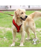 Harnais PUPPIA SOFT rouge ultra confortable pour chien