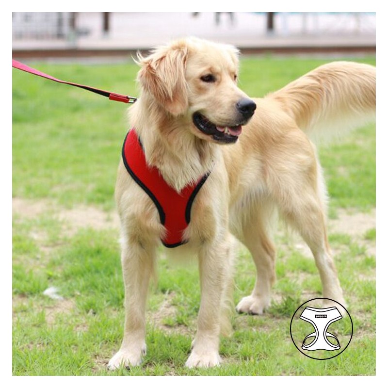 Harnais PUPPIA SOFT rouge ultra confortable pour chien