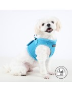 Harnais veste PUPPIA SOFT bleu ciel ultra confortable pour chien