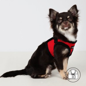 Harnais veste PUPPIA SOFT rouge ultra confortable pour chien