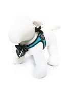 Harnais confort TRE PONTI Fashion pour chien | Bleu
