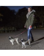 Accessoire pour laisse Flexi | Lampe LED