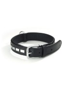 Collier en cuir doublé TEXAS avec plaques en métal rivetées pour chien | Noir