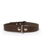 Collier pour chien RONDO en cuir avec rivets rond |Marron