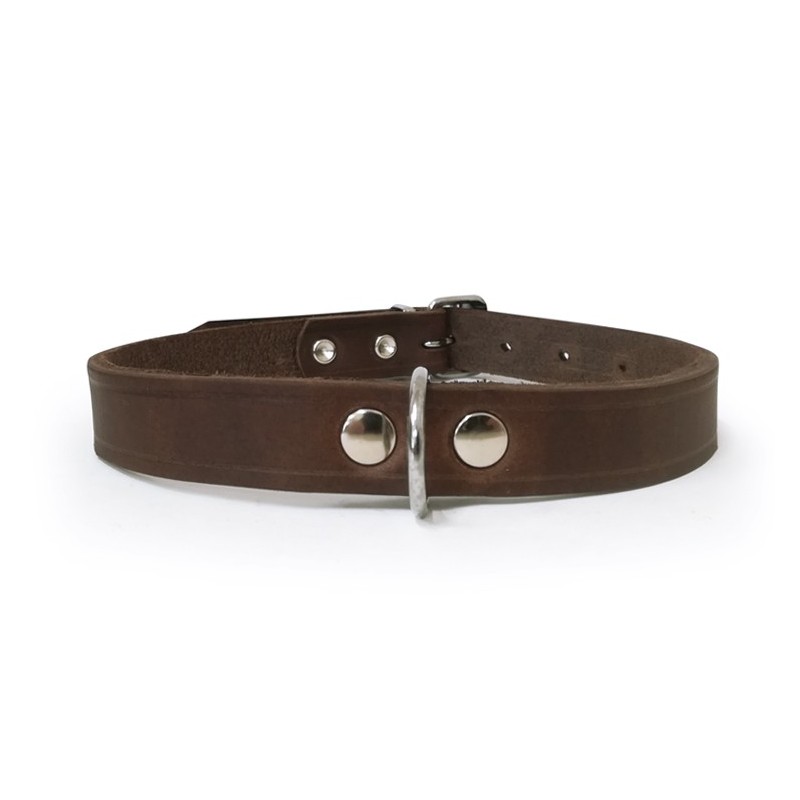 Collier pour chien RONDO en cuir avec rivets rond |Marron