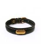 Collier cuir de veau souple noir pour chien