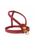 Harnais cuir de veau rond rouge pour chien