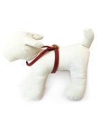Harnais cuir de veau rond rouge pour chien
