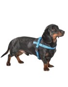 Harnais pour chien en nylon avec surpiqûres réfléchissantes EASY | Bobby Bleu
