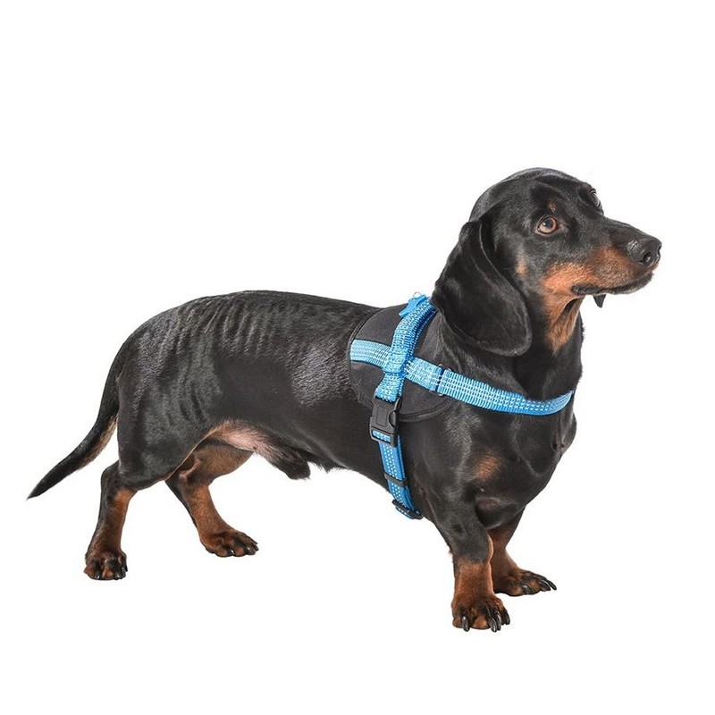 Harnais pour chien en nylon avec surpiqûres réfléchissantes EASY | Bobby Bleu