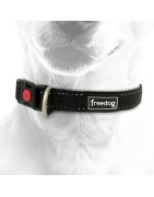 Collier pour chien en nylon avec surpiqûres réfléchissantes