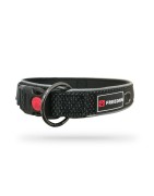 Collier pour chien en nylon et néoprène avec clip de sécurité