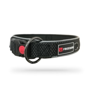 Collier pour chien en nylon et néoprène avec clip de sécurité