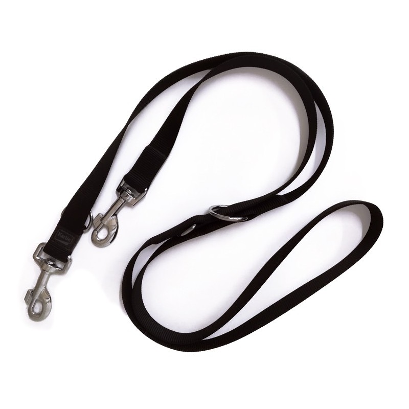 Laisse de dressage pour chien en nylon | Laisse 3 positions