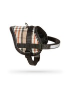 Harnais pour petit chien confort et sécuritaire Teeny Weeny | Anglais