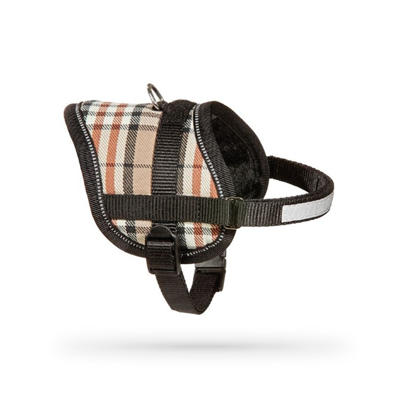 Harnais pour petit chien confort et sécuritaire Teeny Weeny | Anglais