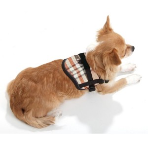 Harnais pour petit chien confort et sécuritaire Teeny Weeny | Anglais