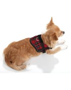 Harnais pour petit chien confort et sécuritaire Teeny Weeny | Écossais